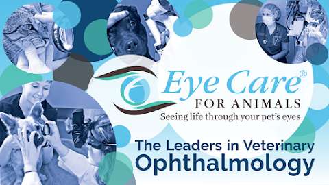 Eye Care for Animals